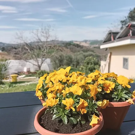 Venticello Del Conero * Gli Angeli